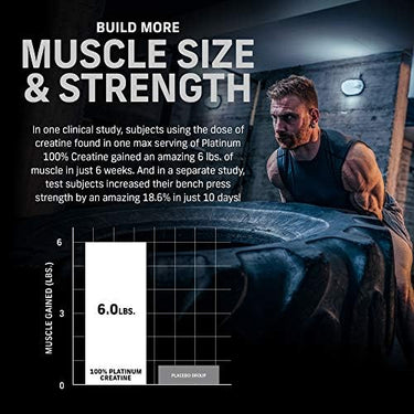 Creatina Muscletech Platinum - 400g 80 servicios (sin sabor)